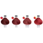رنگ مو تونی Tony ـ سری قرمز Red رنگ مو - Image 2