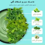 ماسک صورت دوقلو بیو آکوا ـ آبرسان و پاکساز پوست ـ 100 گرم - Image 4