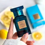 عطر ادکلن نرولی پورتوفینو Neroli Portofino مردانه و زنانه 33 میل - Image 3