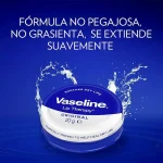 وازلین بالم لب اورجینال Lip Therapy Original _ مرطوب کننده و آبرسان لب 20 گرم - Image 3