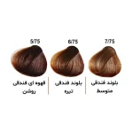رنگ مو الوکسین Eloxin - سری فندقی حجم ۱۲۰ میل - Image 2