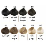 رنگ مو الوکسین Eloxin - سری طبیعی حجم ۱۲۰ میل - Image 3