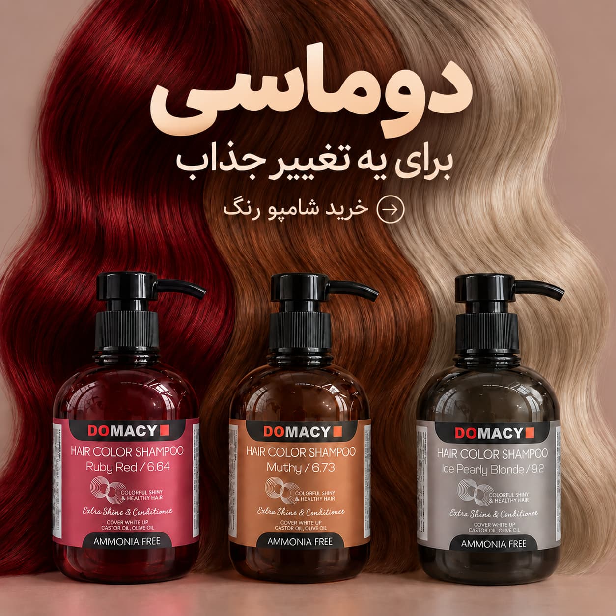 دوماسی