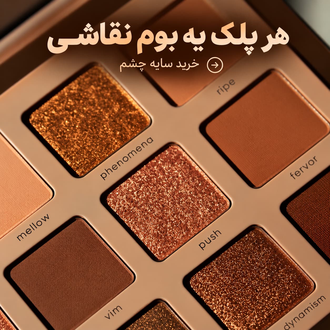 سایه چشم آرین